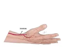 开云娱乐-L??忠疸s遼?[u